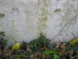 image of grave number 366131
